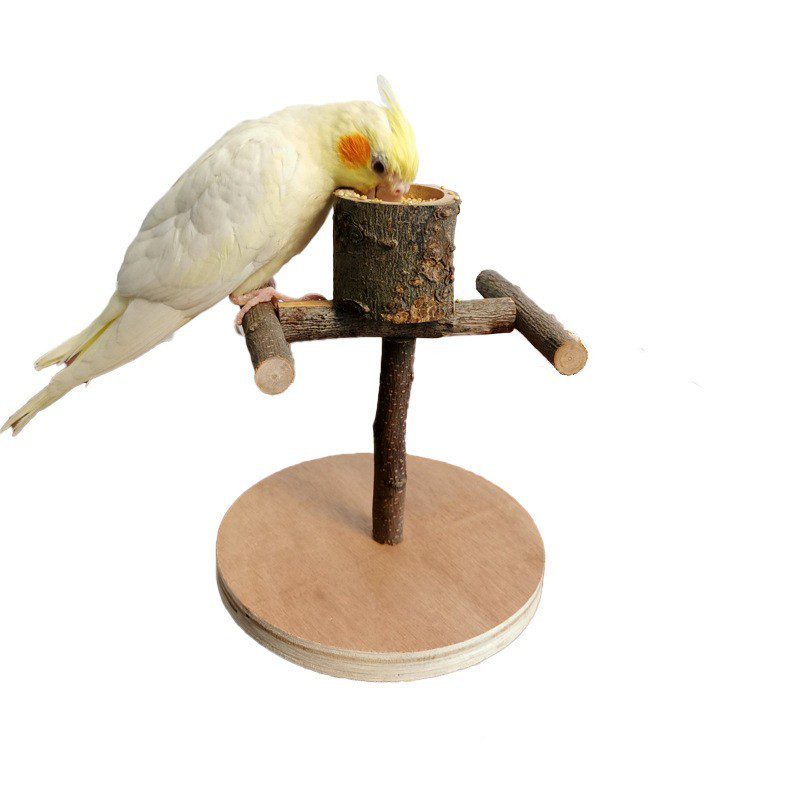 Solid Wood Parrot Station Frame Training Bird Shelf Parrot Toys