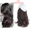 Women's Multi-color Gradient Hair Extensions