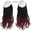 Women's Multi-color Gradient Hair Extensions